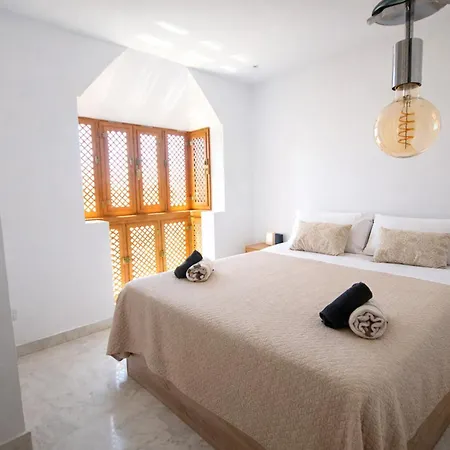 Penthouse Adelfas Del Mar-private Pool & Appartement *